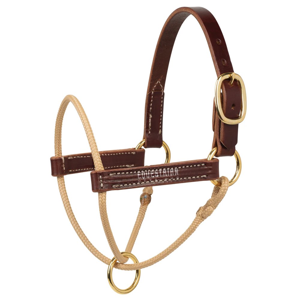 1 Halters - Image 1