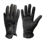 Winter Gloves